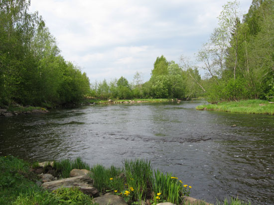 Typp�n majoituksen rannasta alavirtaan